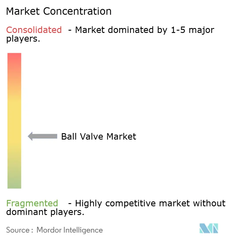 Ball Valve Market Concentration