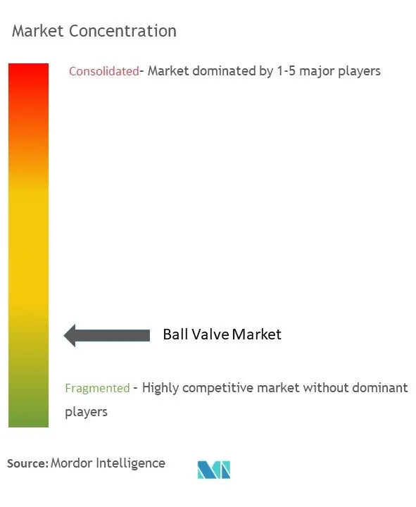Concentración del mercado de válvulas de bola