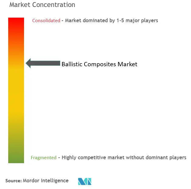 Ballistic Composites Market Concentration