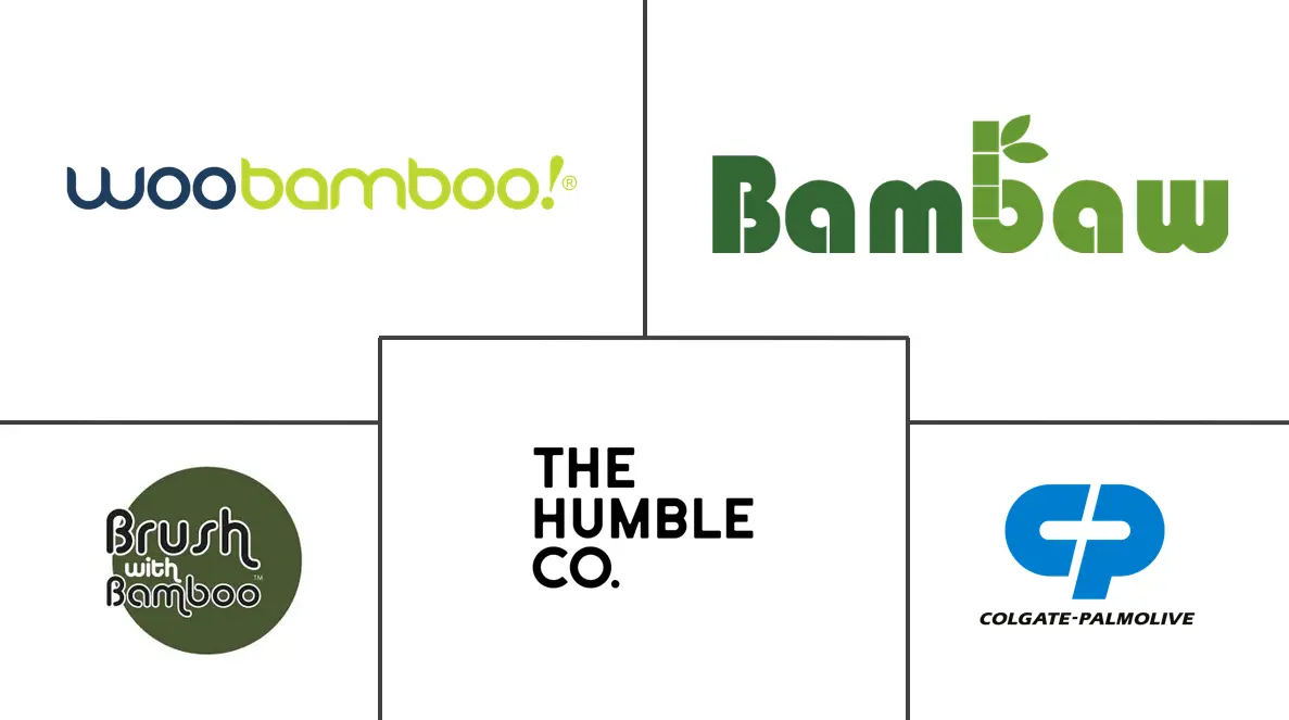 Major players in Bamboo Toothbrush industry