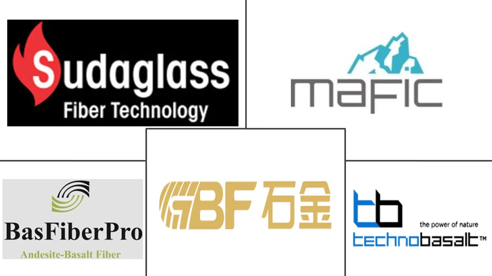 Major players in Basalt Fiber industry