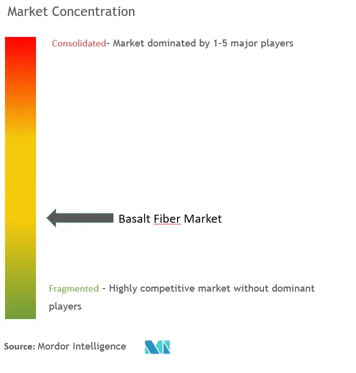 Basalt Fiber Market Concentration