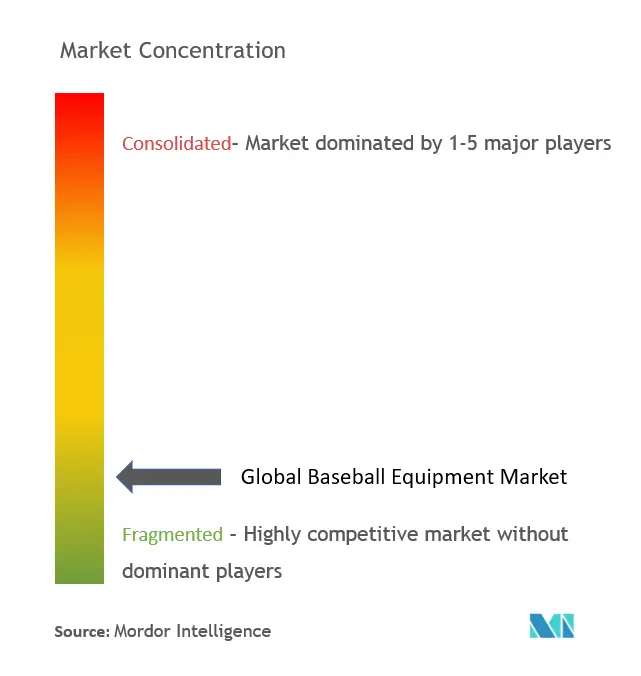 Baseball Equipment Market Concentration