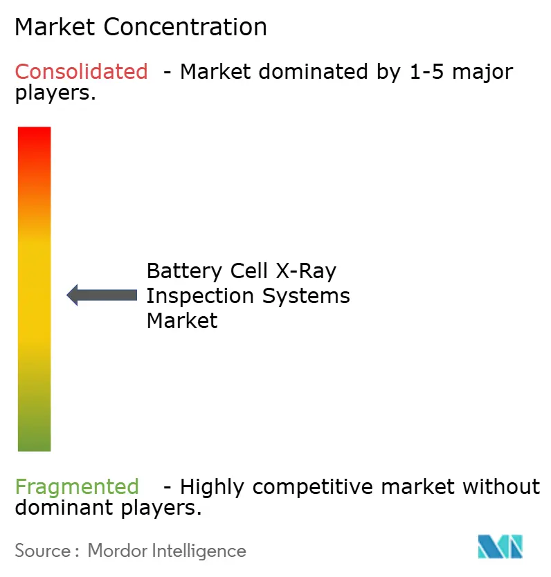 Battery Cell X-Ray Inspection Systems Market Concentration
