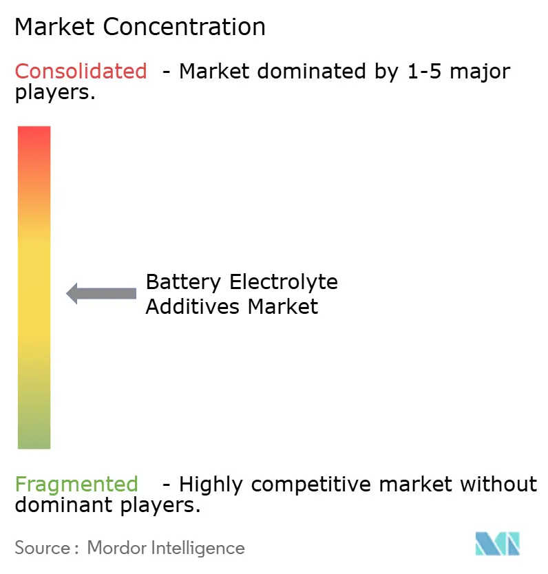 Battery Electrolyte Additives Market Concentration