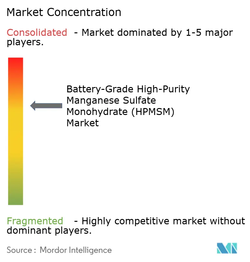 Marktkonzentration für batteriequalitätsfähiges hochreines Mangansulfat-Monohydrat (HPMSM)