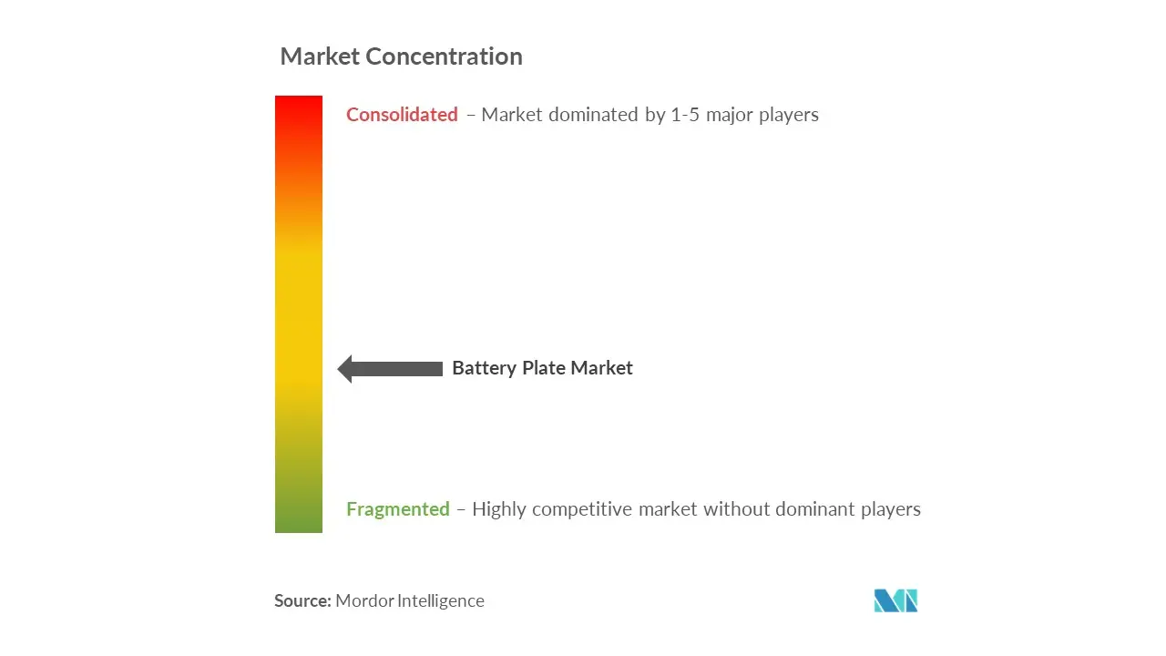 バッテリープレート市場の集中度