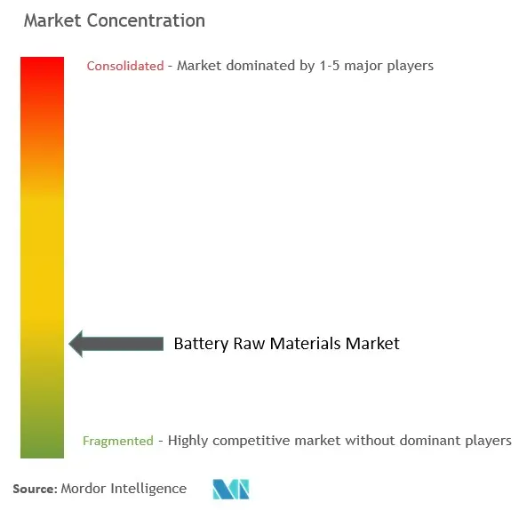 Battery Raw Material Market Concentration