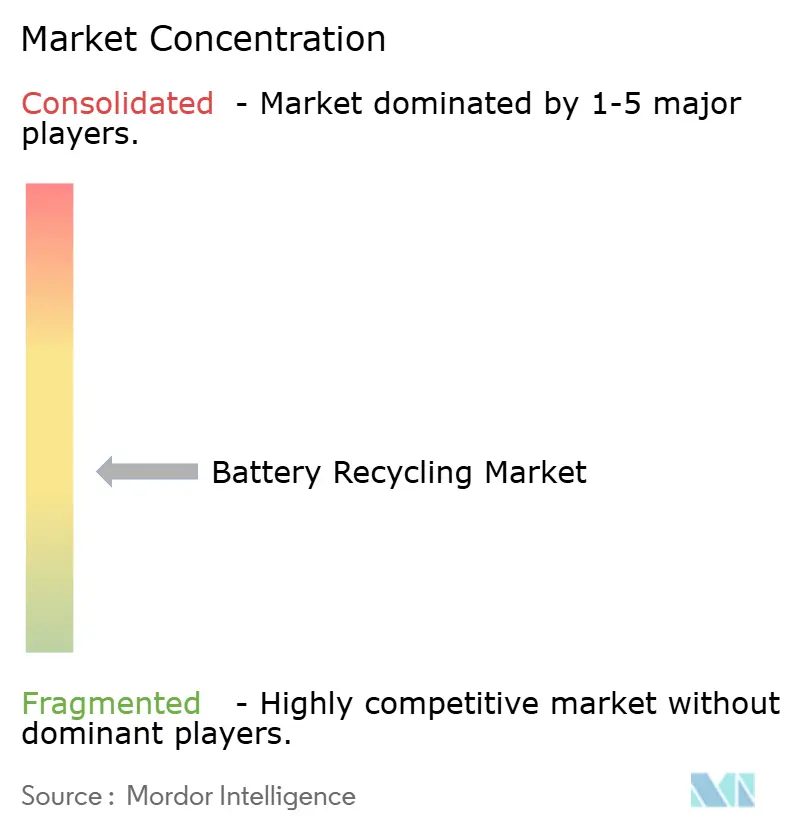 Concentration du March�� du Recyclage des Batteries