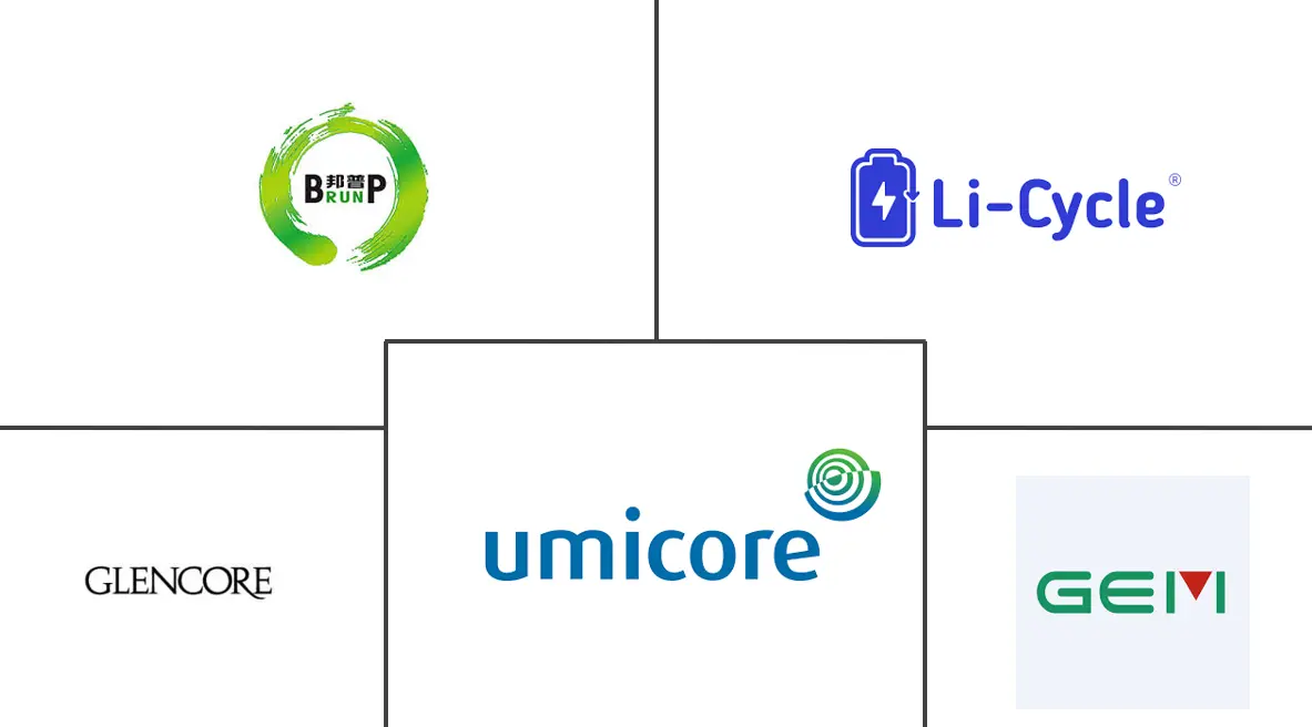 Principaux acteurs dans March�� du Recyclage des Batteries industrie