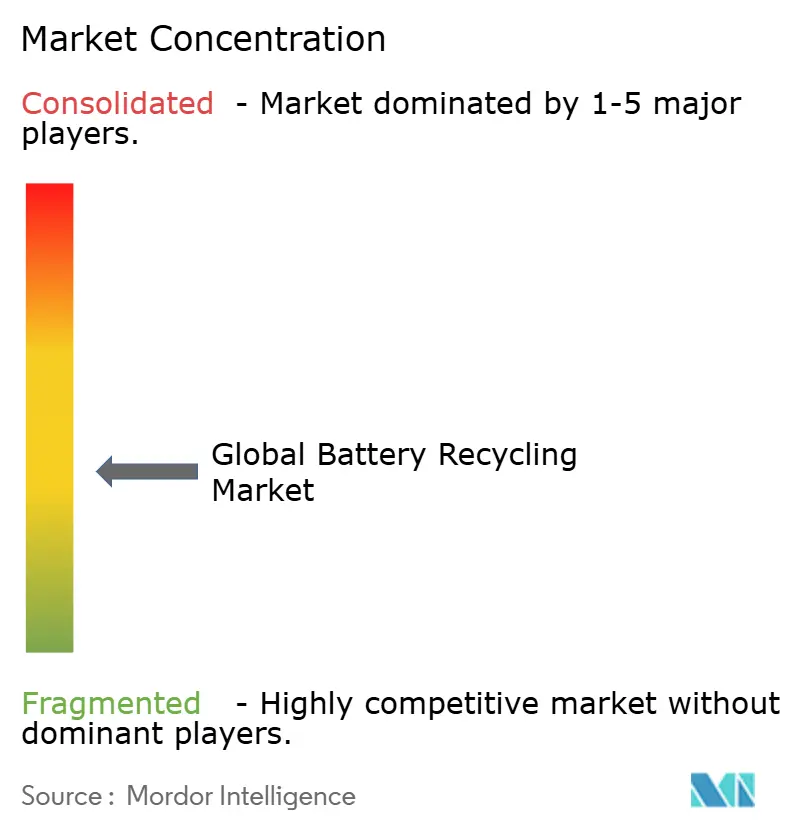 Battery Recycling Market Concentration Battery Recycling Market Concentration