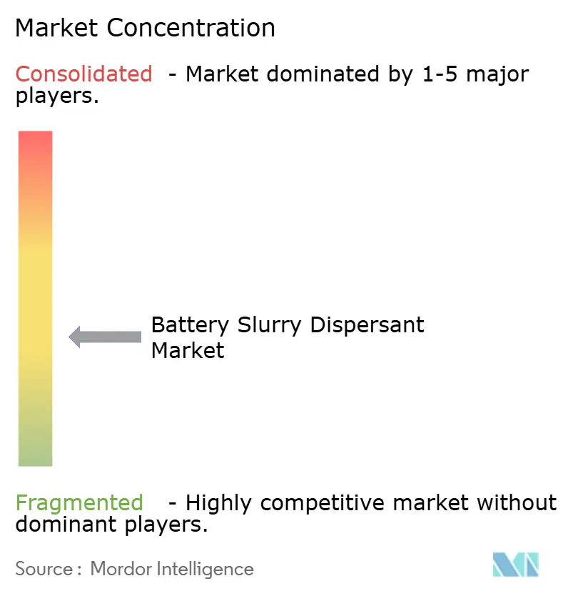 Battery Slurry Dispersant Market Concentration