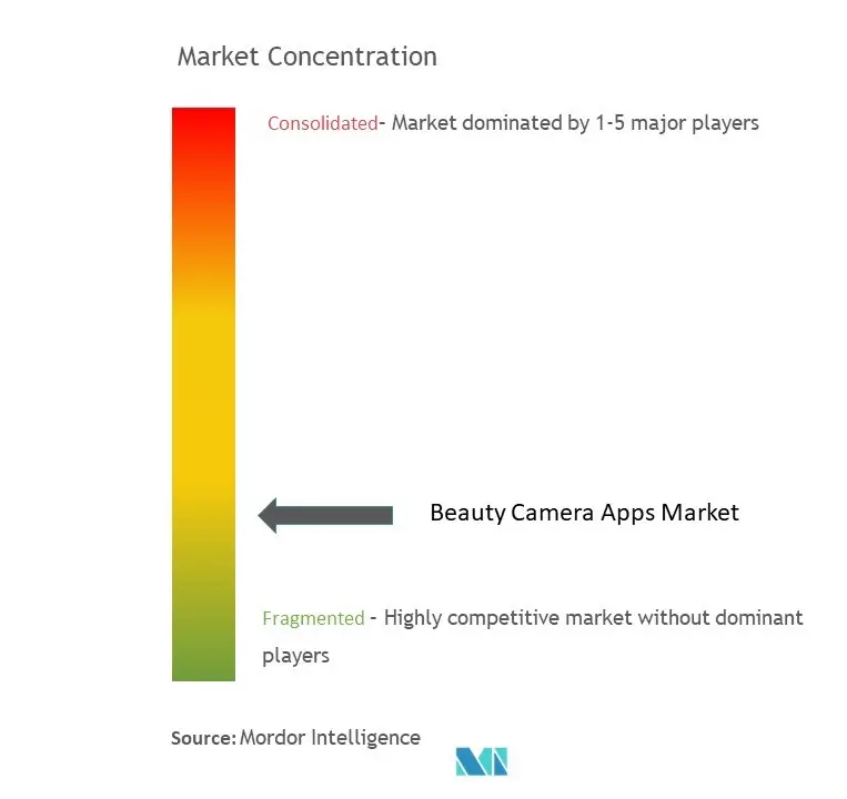 Beauty Camera Apps Market Concentration