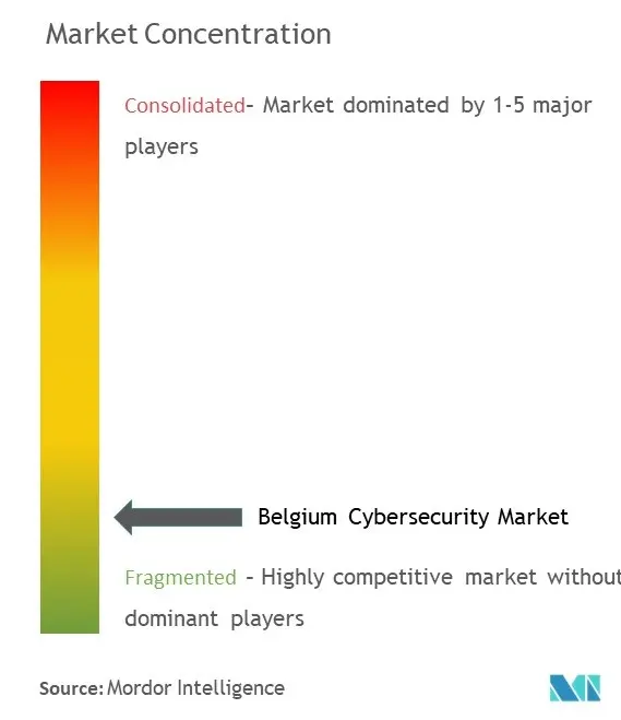 ベルギーのサイバーセキュリティ市場の集中度
