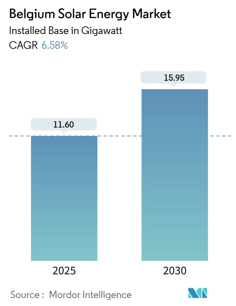 Belgium Solar Energy Market (2025 - 2030)