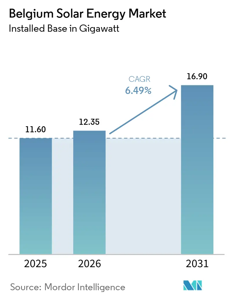 Belgium Solar Energy Market (2025 - 2030)