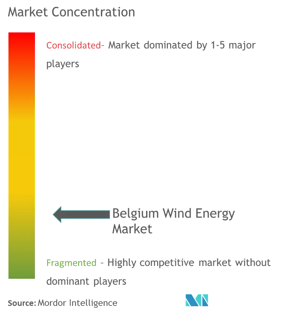 Belgium Wind Energy Market - Market Concentration.png