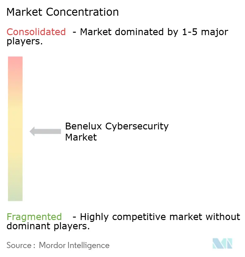 Benelux Cybersecurity Market Concentration