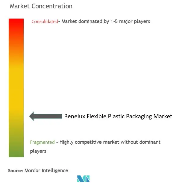 Benelux Flexible Plastic Packaging Market Concentration