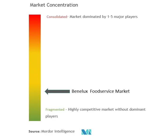 Benelux Foodservice Market Concentration
