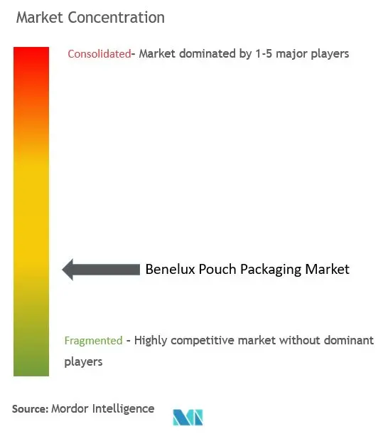 Benelux Pouch Packaging Market Concentration