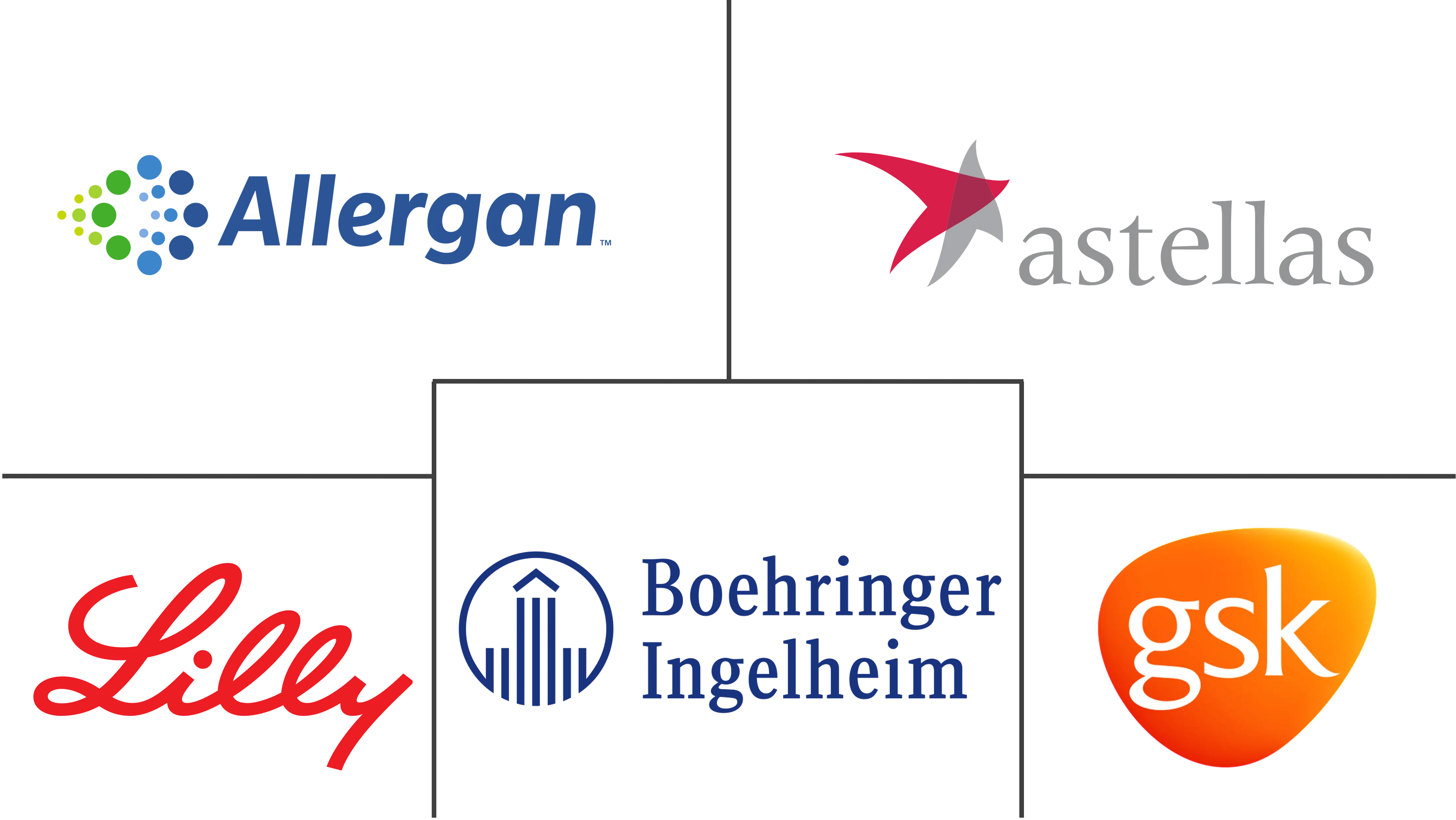 Major players in Benign Prostatic Hyperplasia industry