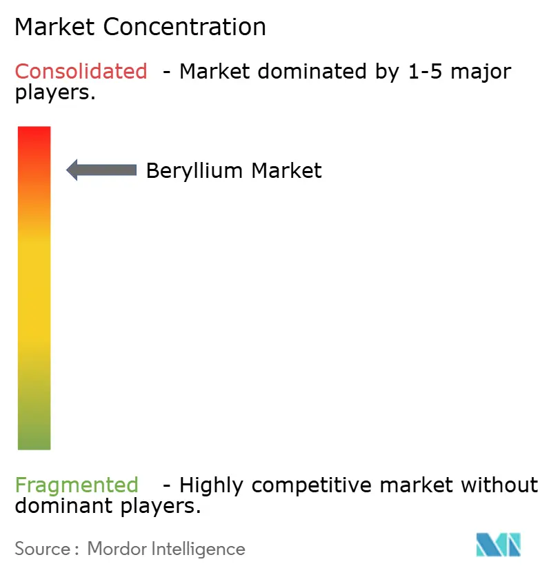Beryllium Market - Market Concentration