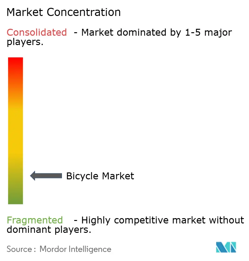 Bicycle Market Concentration