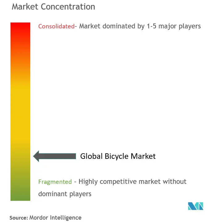 Bicycle Market Concentration