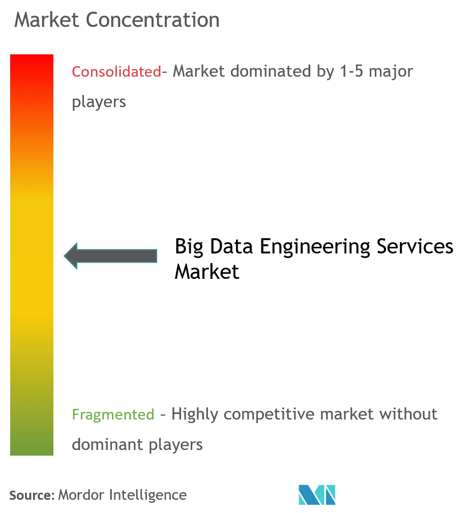 Big Data Engineering Services Market Concentration