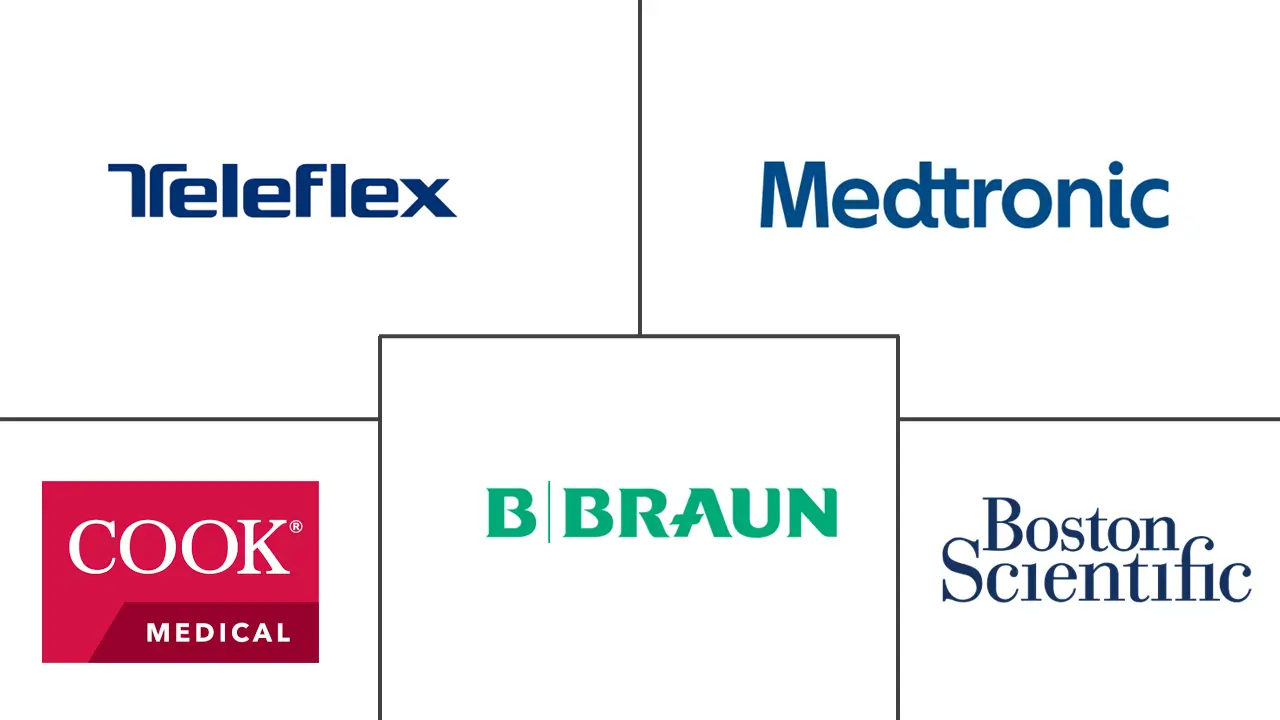 Major players in Biliary Catheters industry