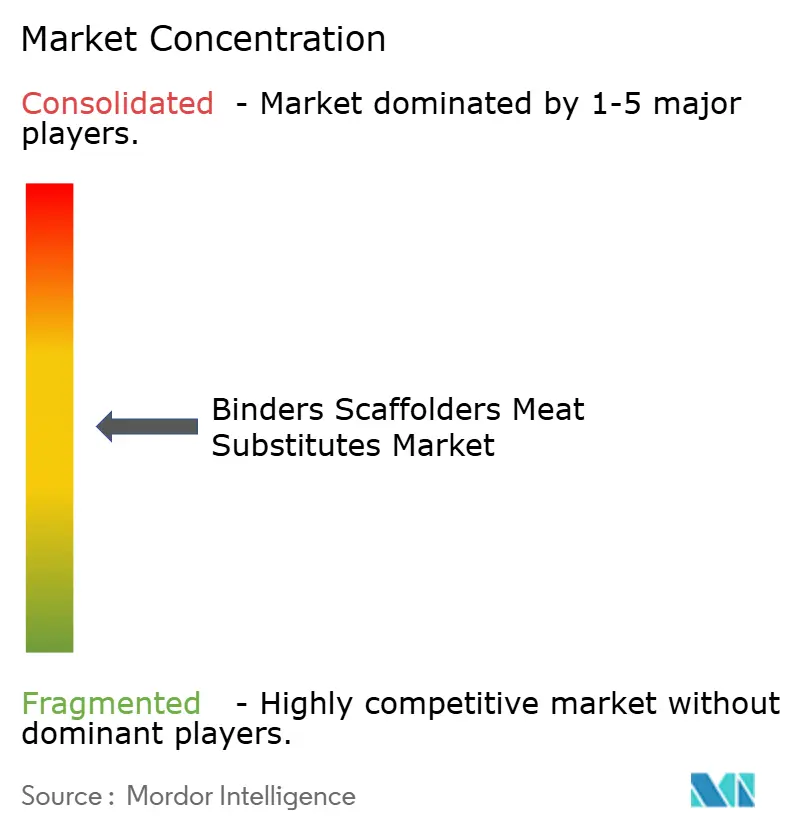 Binders Scaffolders Meat Substitutes Market Concentration
