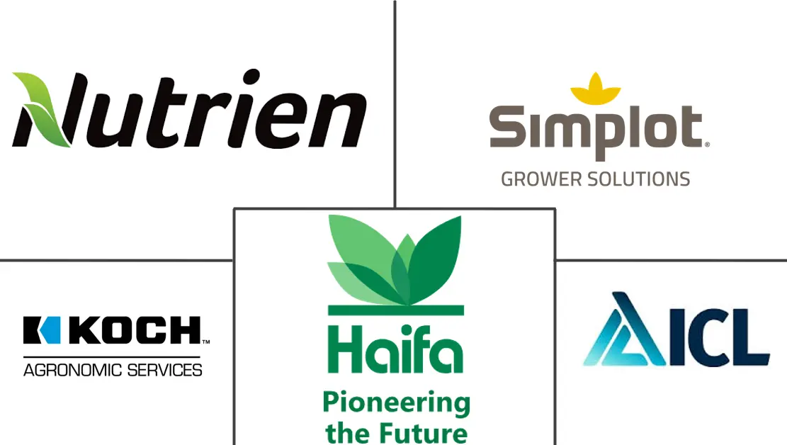 Related Companies Logo