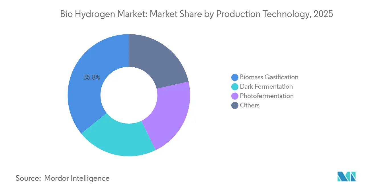 Bio Hydrogen Market Share by Production Technology, 2025