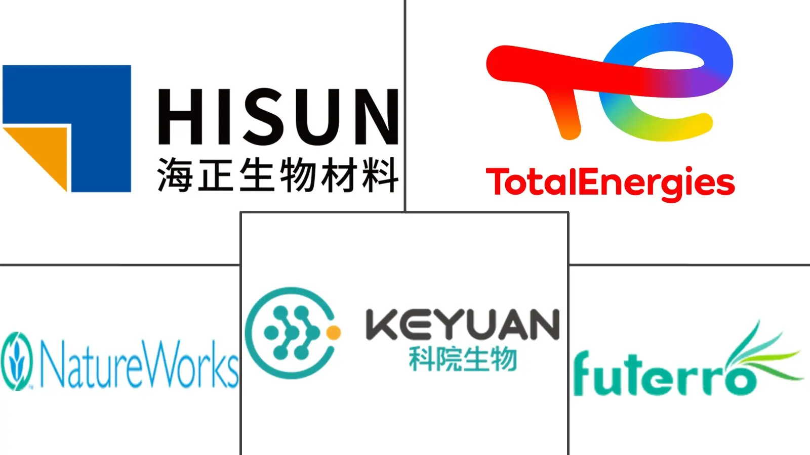 Major players in Bio-polylactic Acid (PLA) industry