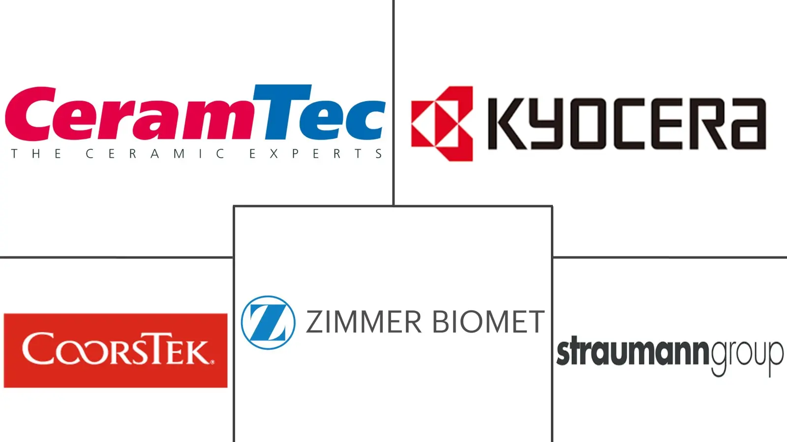 Bioceramics Market Major Players Bioceramics Market Major Players