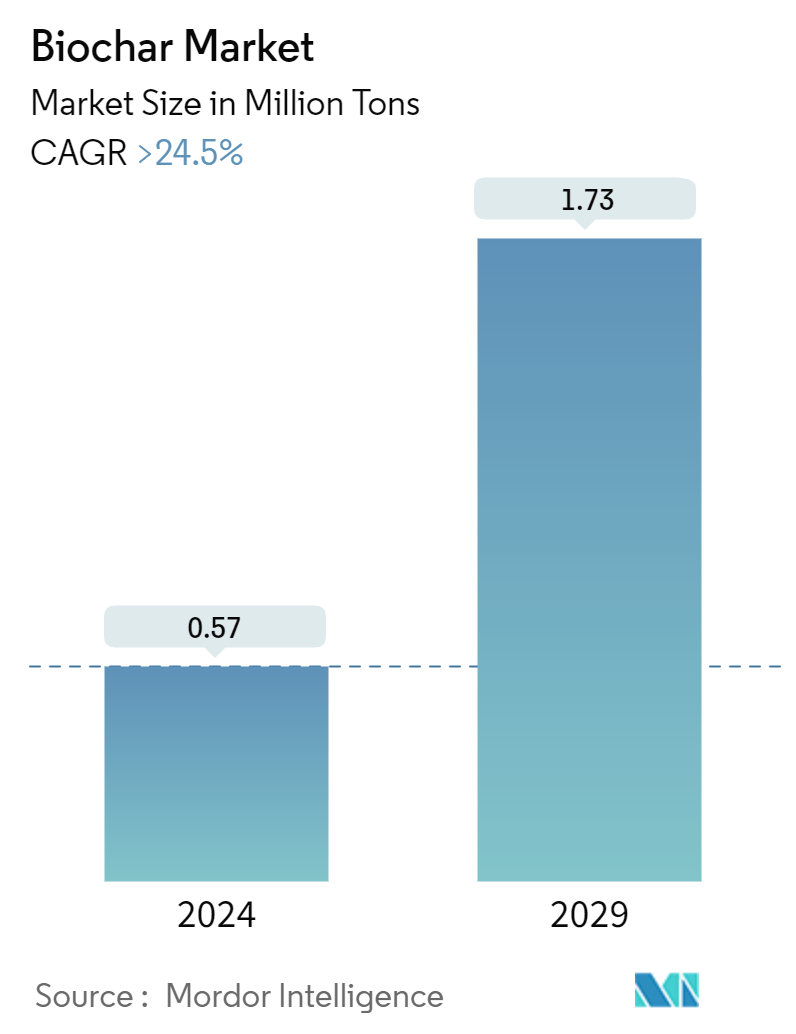 Biochar Market Summary