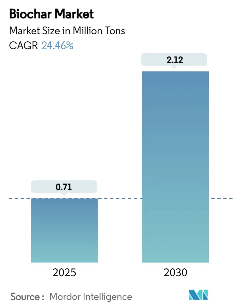 Biochar Market (2025 - 2030)
