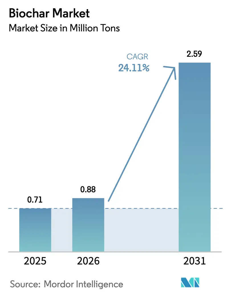 Biochar Market (2025 - 2030)