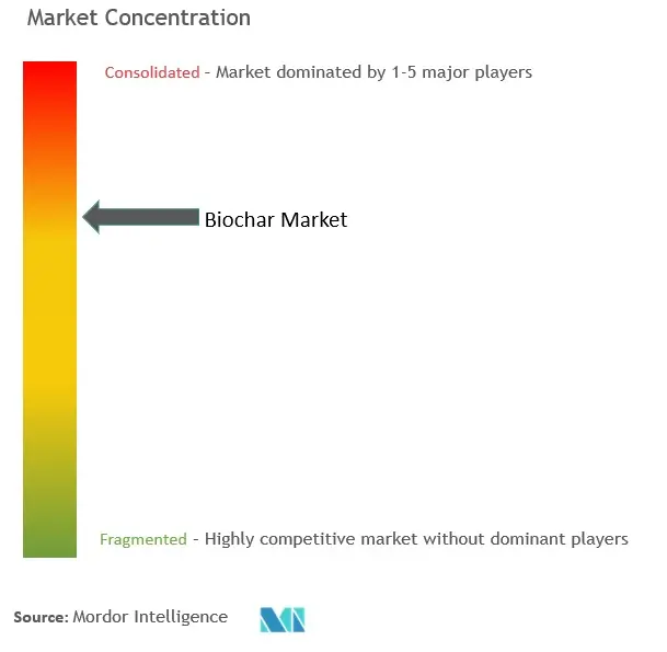 Biochar Market - Market Concentration.jpg