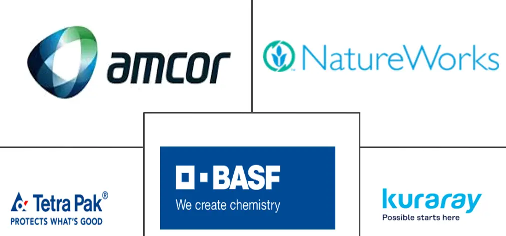 Major players in Biodegradable Plastic Packaging industry