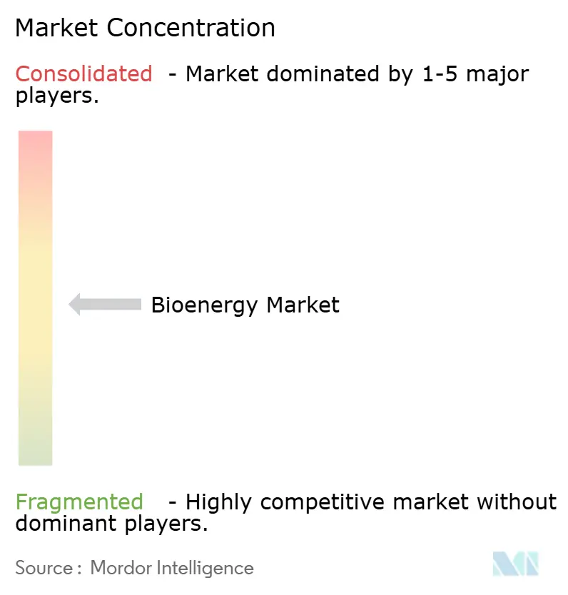 Concentración del Mercado de Bioenergía
