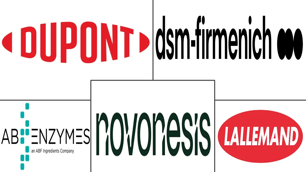 Major players in Biofuel Enzymes industry