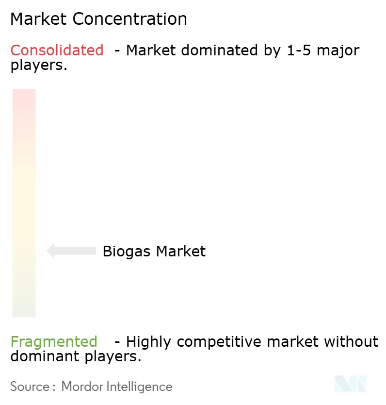 Biogasmarktkonzentration