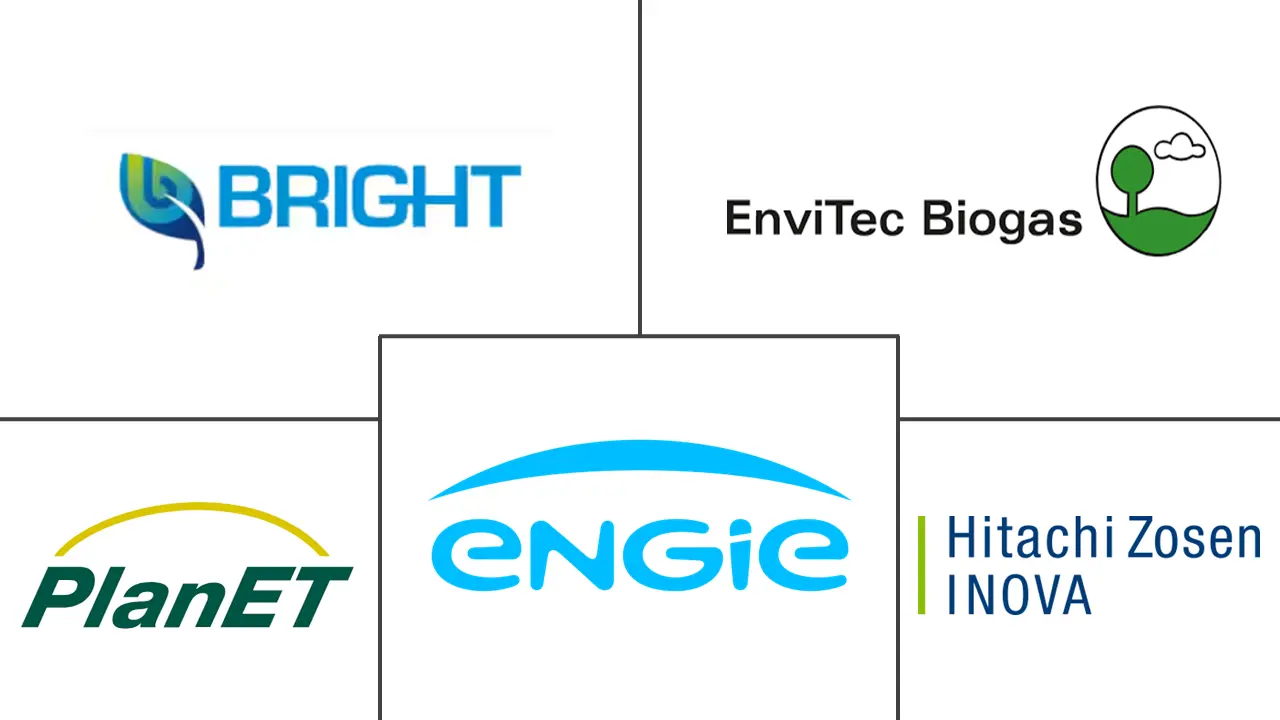 Top Biogas Major Players