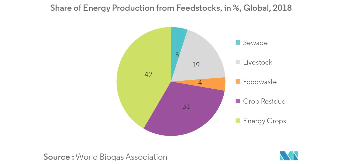 Biogas Market-Energy Production
