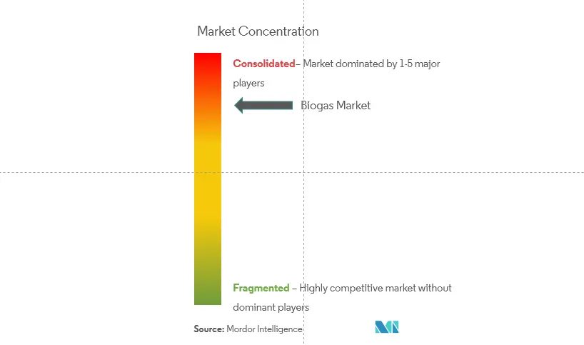 Biogas Market Concentration