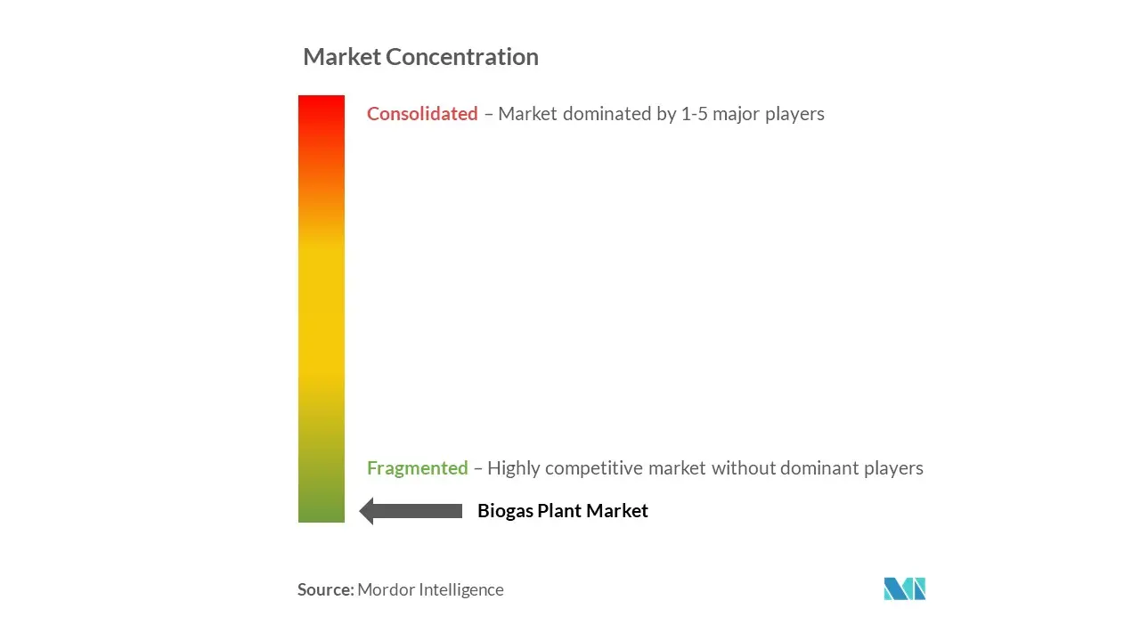 Biogasanlagen-Markt – Marktkonzentration