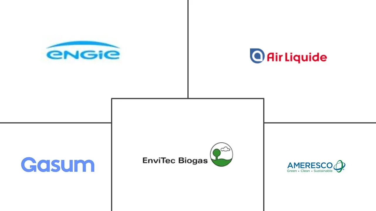 marché des centrales électriques au biogaz