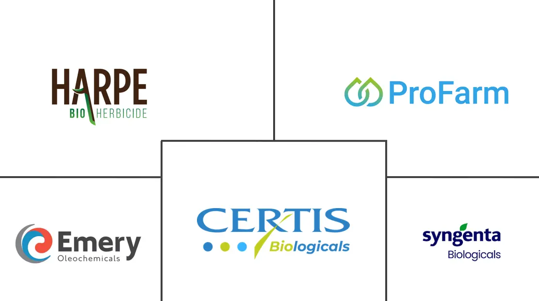 Related Companies Logo